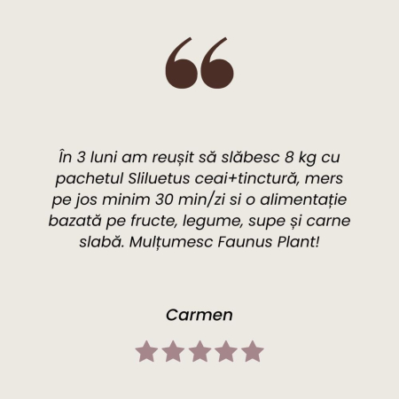 Ceai Siluetus 90g [8]