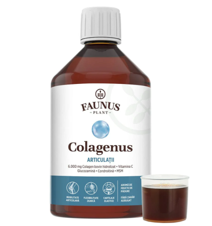 Suplimente alimentare - Colagenus Articulații 500ml
