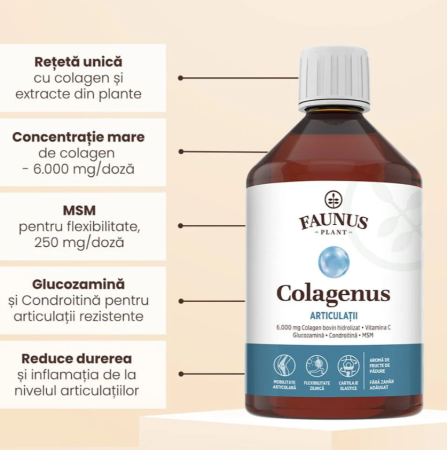 Colagenus Articulații 500ml [4]