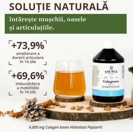 Colagenus Articulații 500ml [9]