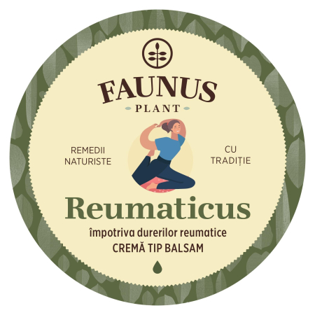 Cremă Tip Balsam Reumaticus 100ml [4]