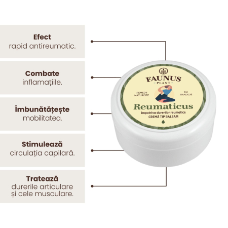Cremă Tip Balsam Reumaticus 100ml [3]