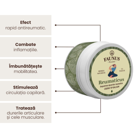 Cremă Tip Balsam Reumaticus 50ml [2]