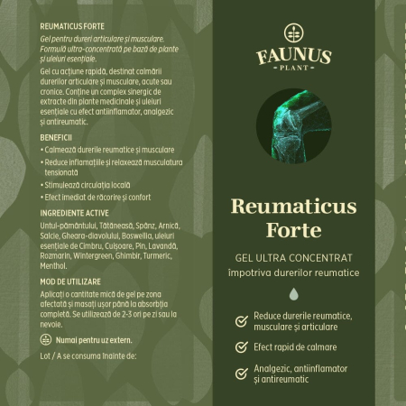 Gel Reumaticus Forte 150ml [5]