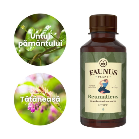 Loțiune Reumaticus 200ml [4]