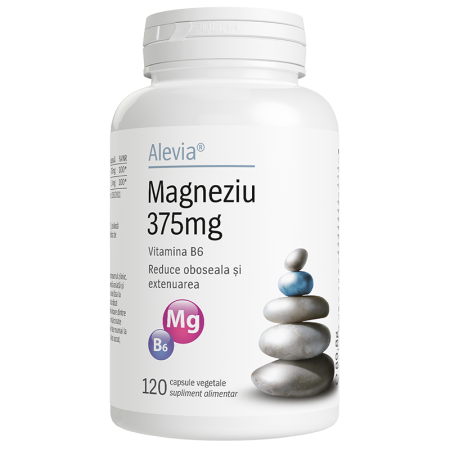 Suplimente - Magneziu 375mg B6 120 capsule vegetale