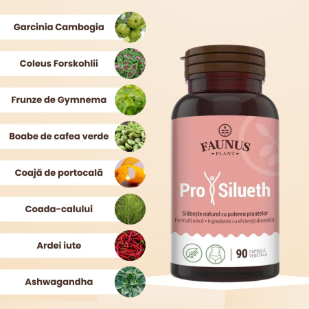 ProSilueth - 90 capsule [3]