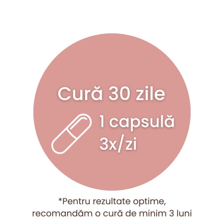 ProSilueth - 90 capsule [5]