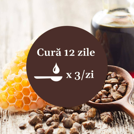 Sirop Cǎtină cu Miere si Propolis 200ml [8]