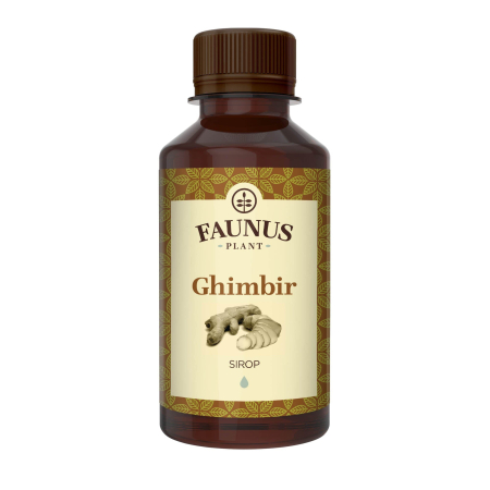 Sirop Ghimbir 200ml [1]