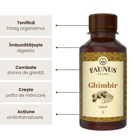 Sirop Ghimbir 200ml [5]