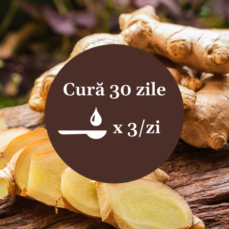 Sirop Ghimbir 500ml [8]