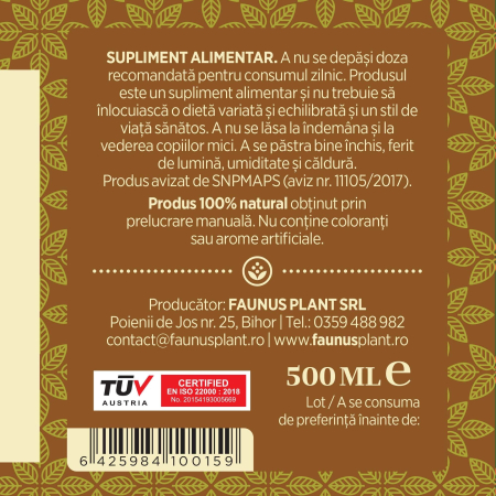 Sirop Ghimbir 500ml [7]