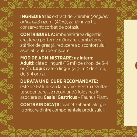 Sirop Ghimbir 500ml [6]