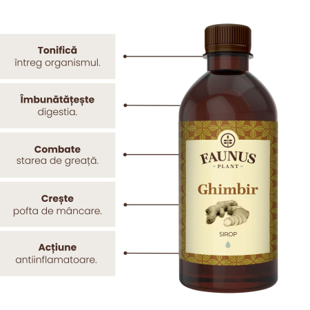 Sirop Ghimbir 500ml [5]