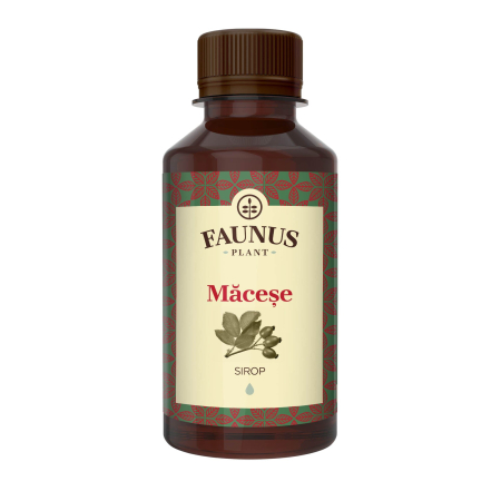 Sirop Măceșe 200ml [1]
