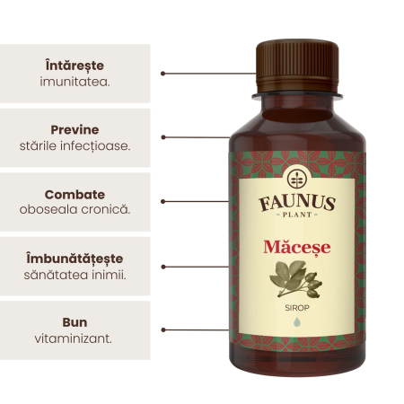 Sirop Măceșe 200ml [5]