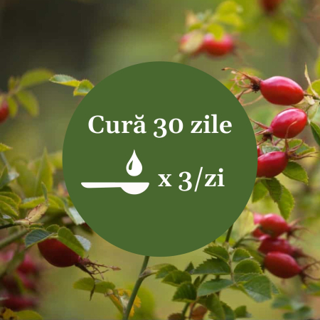 Sirop Măceșe 500ml [8]