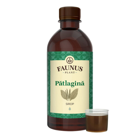 Siropuri - Sirop Pătlagină 500ml