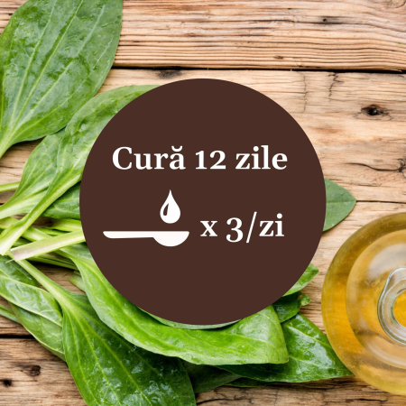 Sirop Pătlagină cu Miere și Propolis 200ml [8]