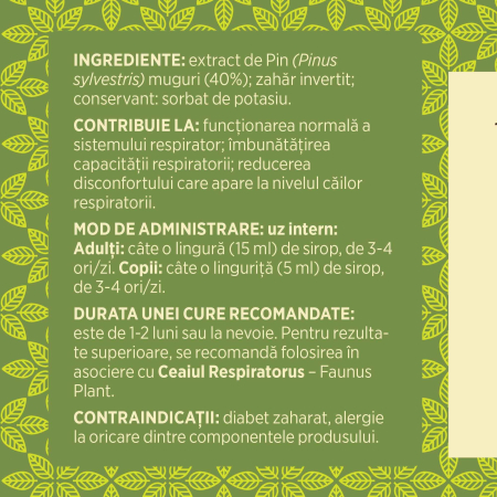 Sirop Pin 200ml [6]
