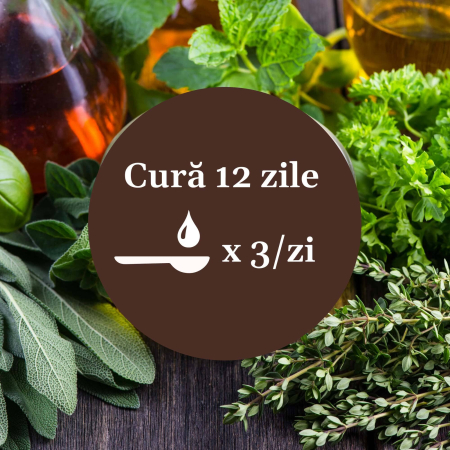 Sirop Respiratorus 200ml [8]