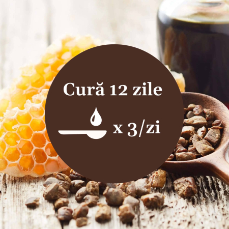 Sirop Vitaminizantus cu Miere si Propolis 200ml [8]
