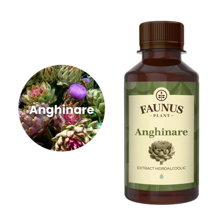 Tinctură Anghinare 200ml [4]