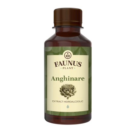 Tinctură Anghinare 200ml [1]