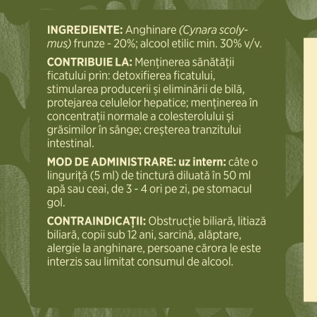 Tinctură Anghinare 200ml [6]