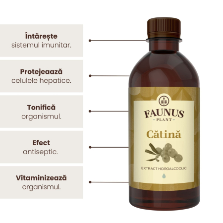 Tinctură Cătină 500ml [5]