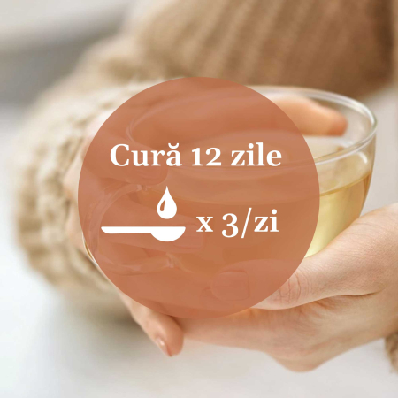 Tinctură Detoxifius 200ml [8]