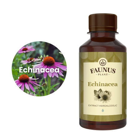 Tinctură Echinacea 200ml [4]