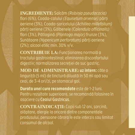 Tinctură Gastricus 200ml [6]