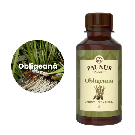 Tinctură Obligeană 200ml [4]