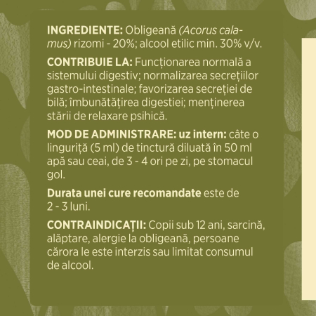 Tinctură Obligeană 200ml [6]