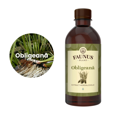 Tinctură Obligeană 500ml [4]