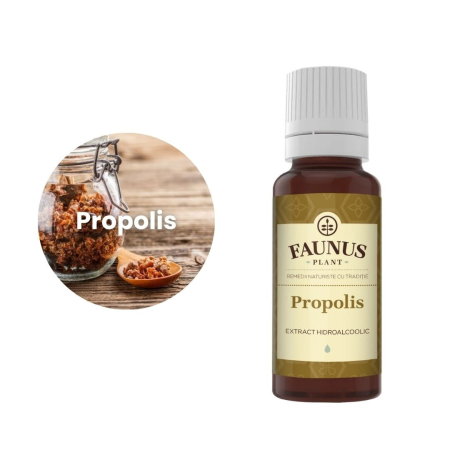 Tinctură Propolis 20ml [4]