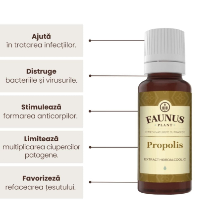 Tinctură Propolis 20ml [5]