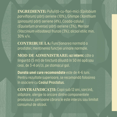 Tinctură Prostatus 200ml [6]
