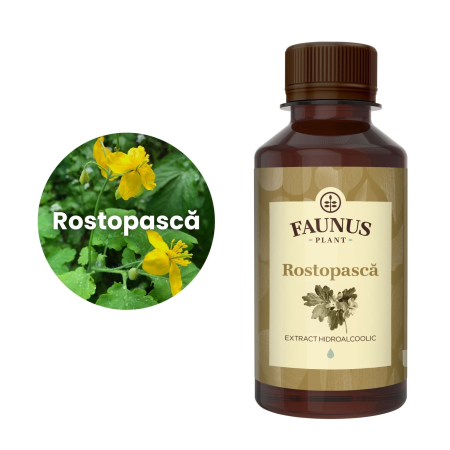Tinctură Rostopască 200ml [4]