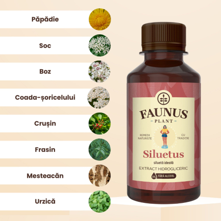 Tinctură Siluetus 200ml [4]