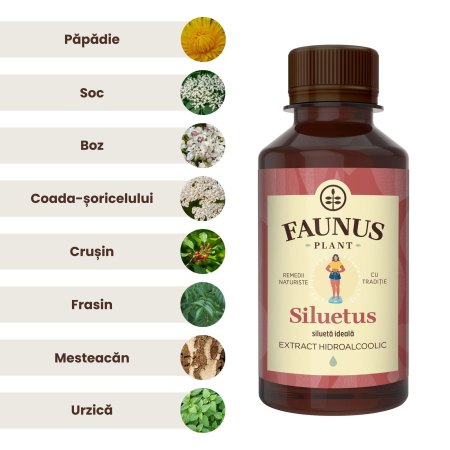 Tinctură Siluetus 200ml - Fără alcool [4]
