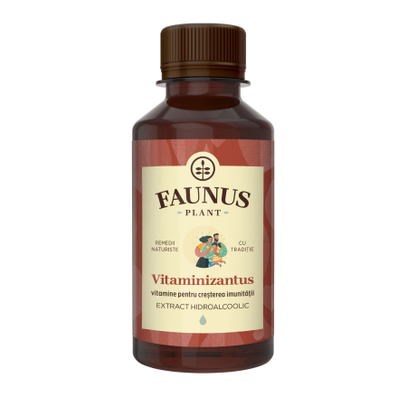 Tinctură Vitaminizantus 200ml [1]