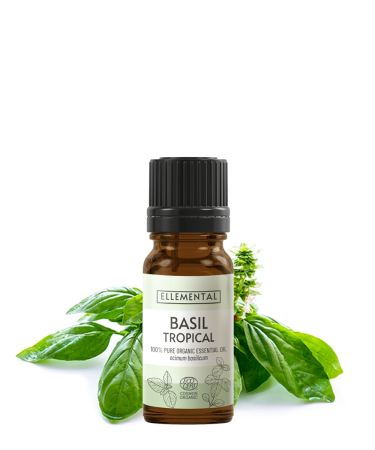  Active cosmetice - Ulei esențial de Busuioc tropical Bio (Ambalaj: 900 g)