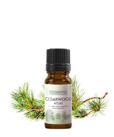 Aromaterapie - Ulei esențial de Cedru Atlas Bio (Ambalaj: 90 g)