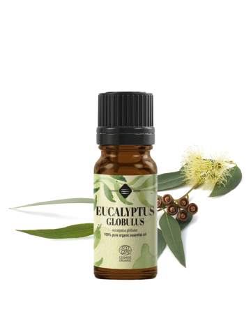 Aromaterapie - Ulei esențial de Eucalipt Globulus Bio (Ambalaj: 90 g)