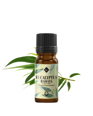  Uleiuri vegetale - Ulei esențial de Eucalipt Radiata (Ambalaj: 900 g)