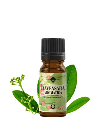  Uleiuri vegetale - Ulei esențial de Ravensara aromatica (Ambalaj: 800 g)
