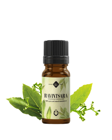  Uleiuri esențiale - Ulei esențial de Ravintsara (Ambalaj: 90 g)